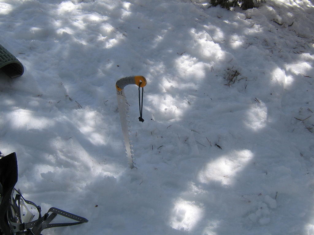 IMG 1785