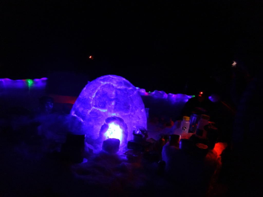 DSC01220
