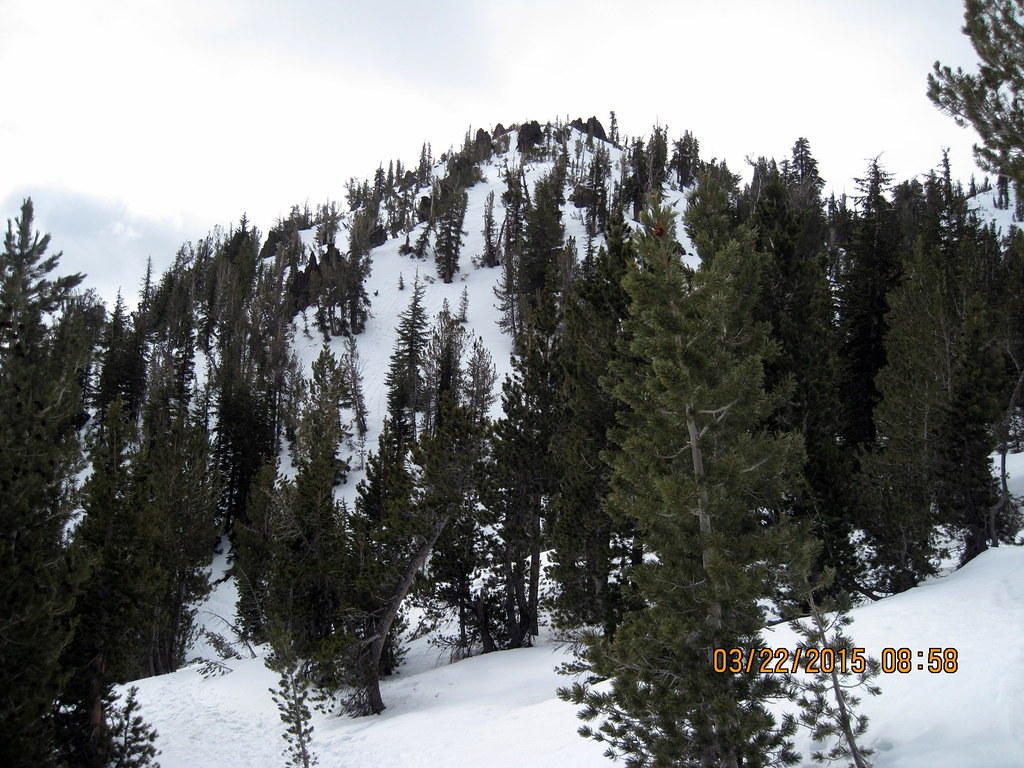 IMG 3722