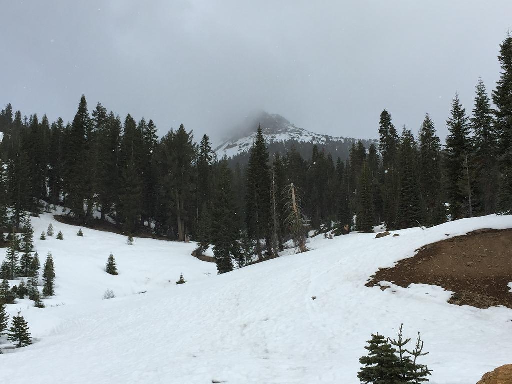 IMG 0223