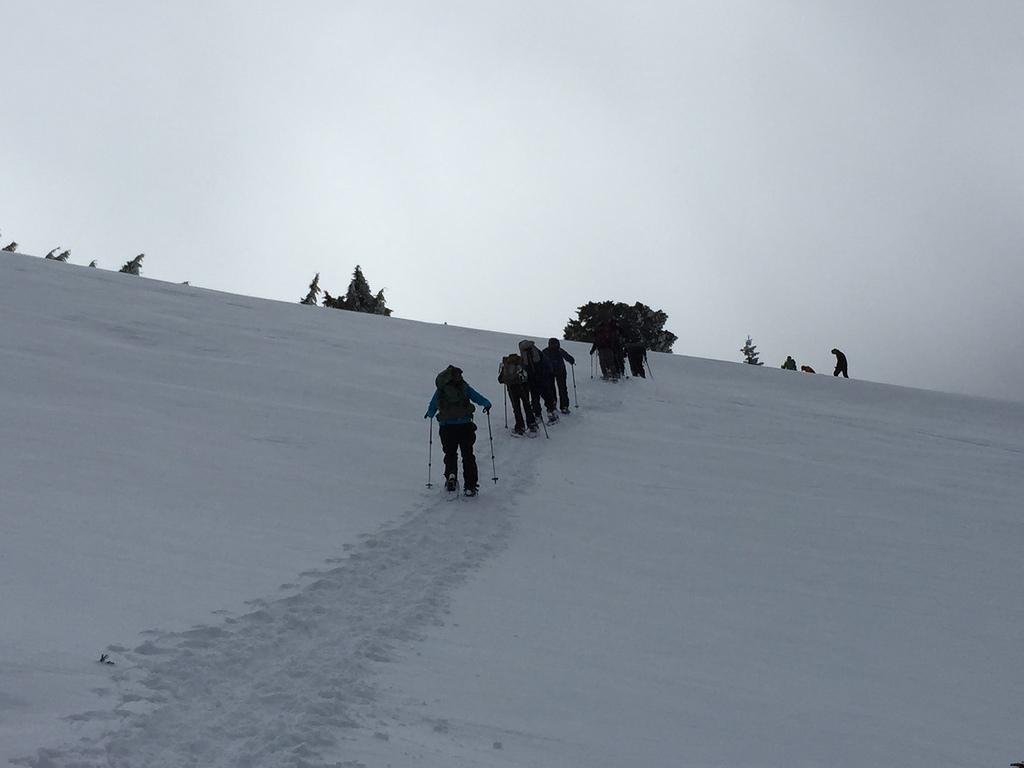 IMG 0269