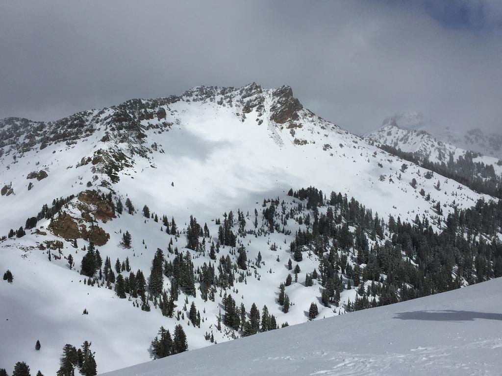 IMG 0284
