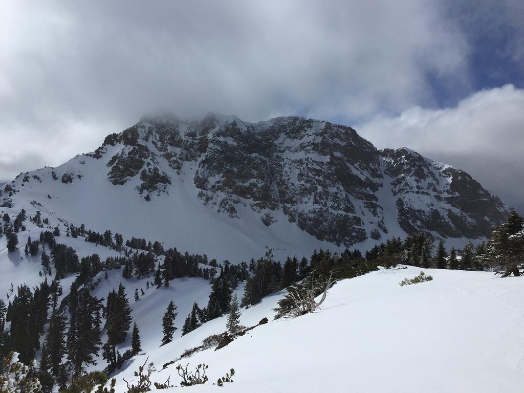 IMG 0288