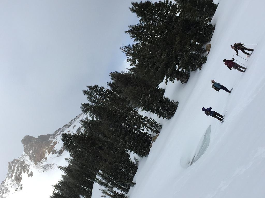 IMG 0306