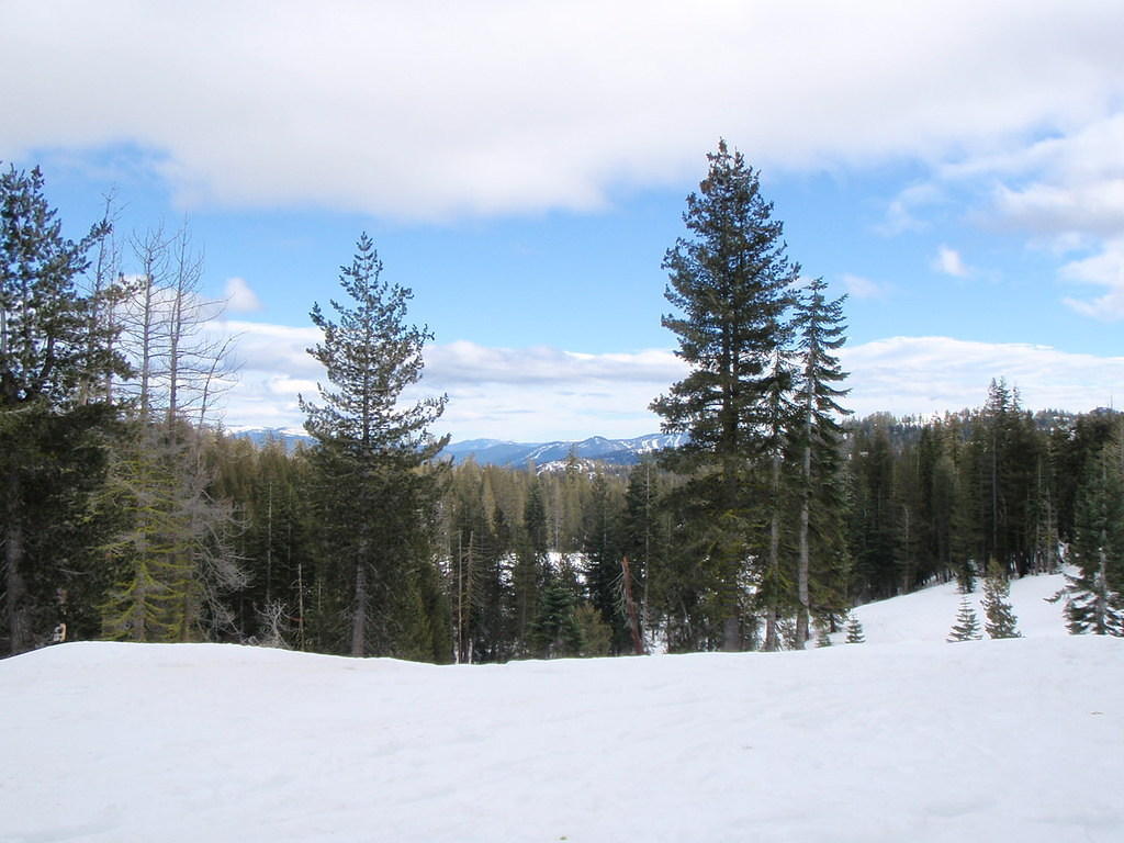 P1180135