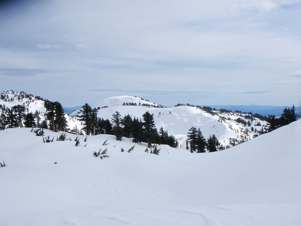P2010256