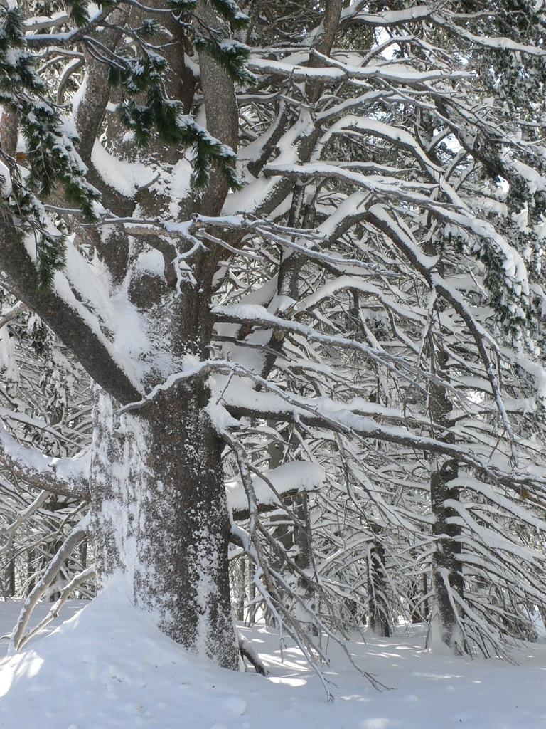P1150033
