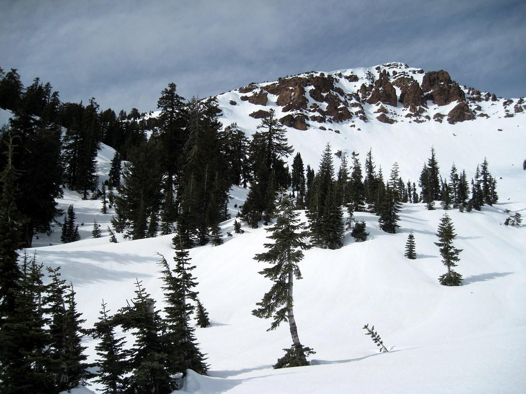 2016AlumniForestLake-015