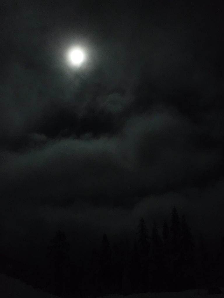 DSCF0296