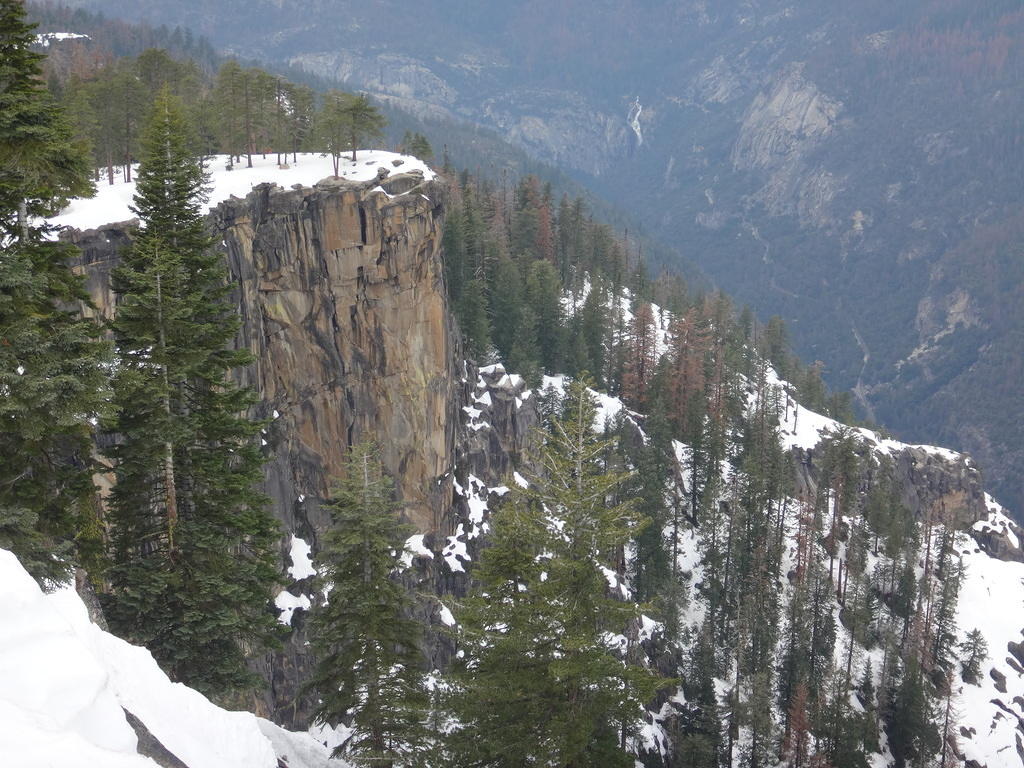 DSC08489