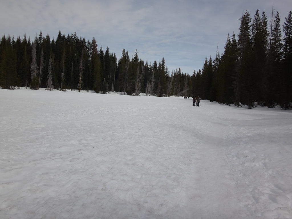 DSC08607
