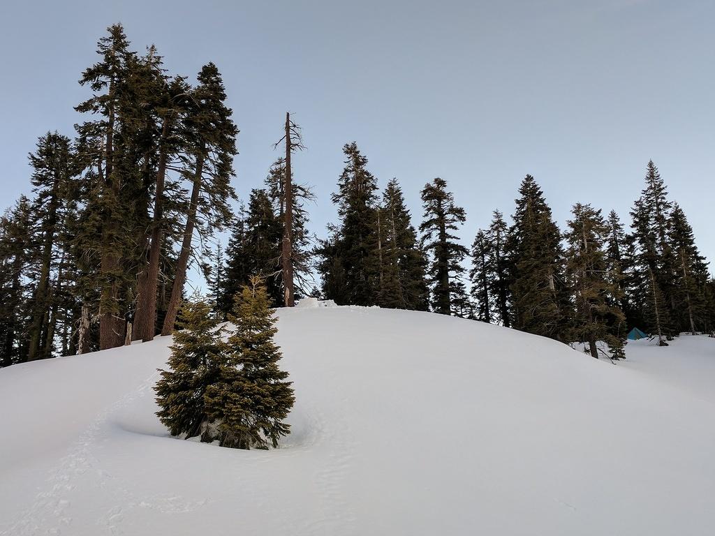 IMG 20170312 074542