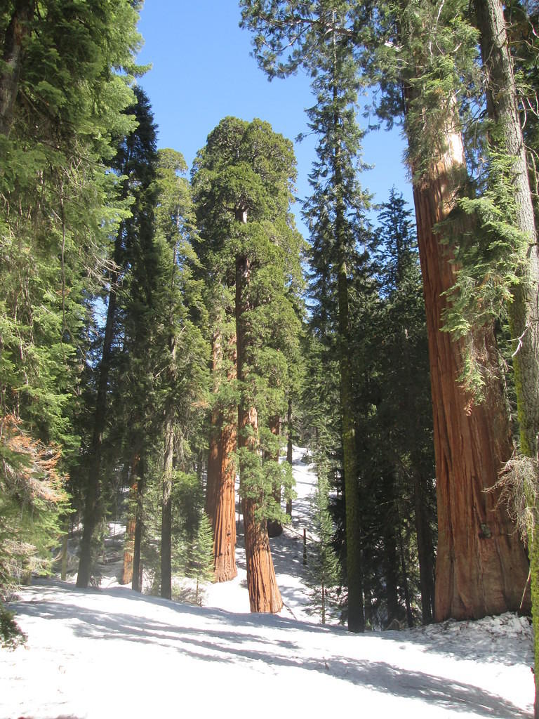 IMG 0835