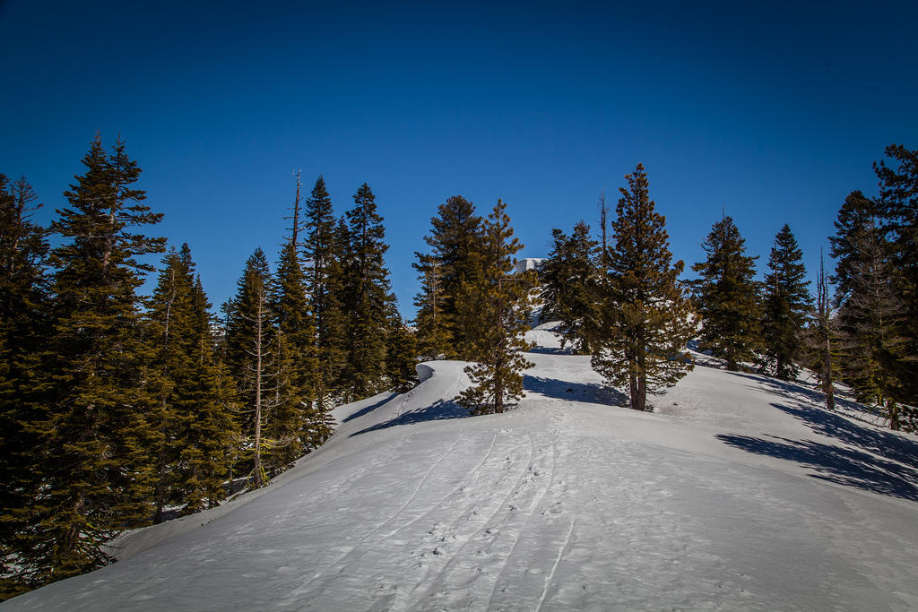 img 3061 33837799665 o