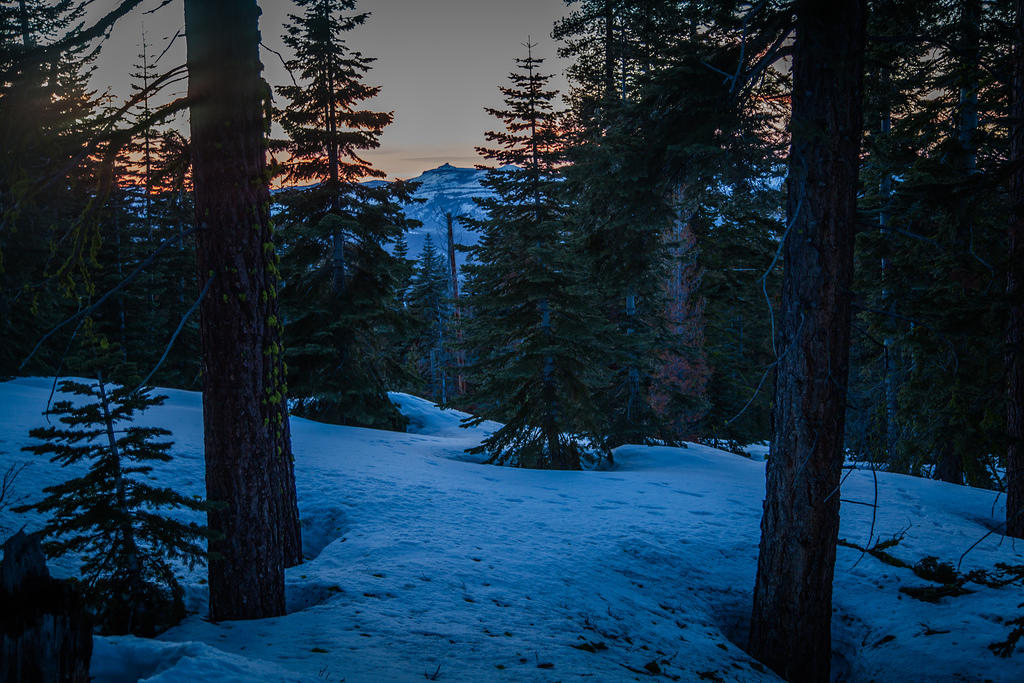 img 3302 33797197046 o