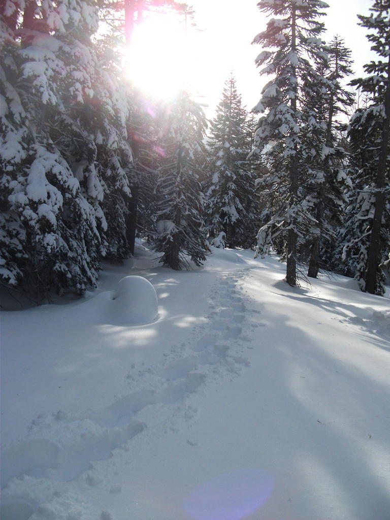 DSCF1407