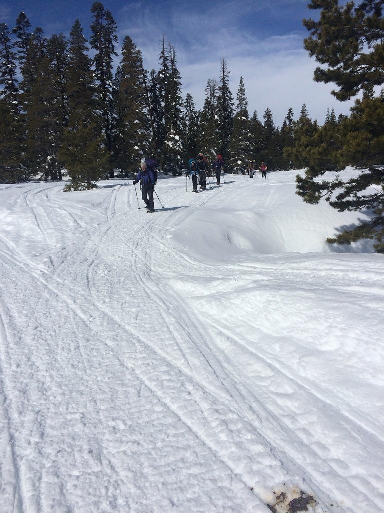 IMG 0978