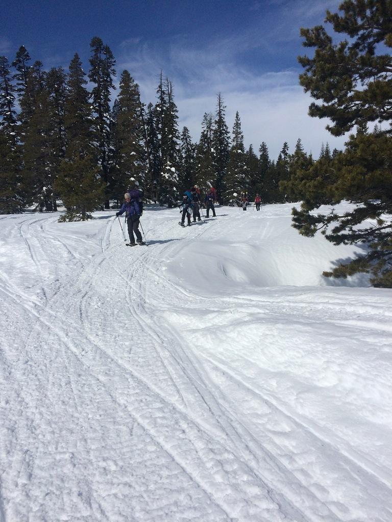 IMG 0979