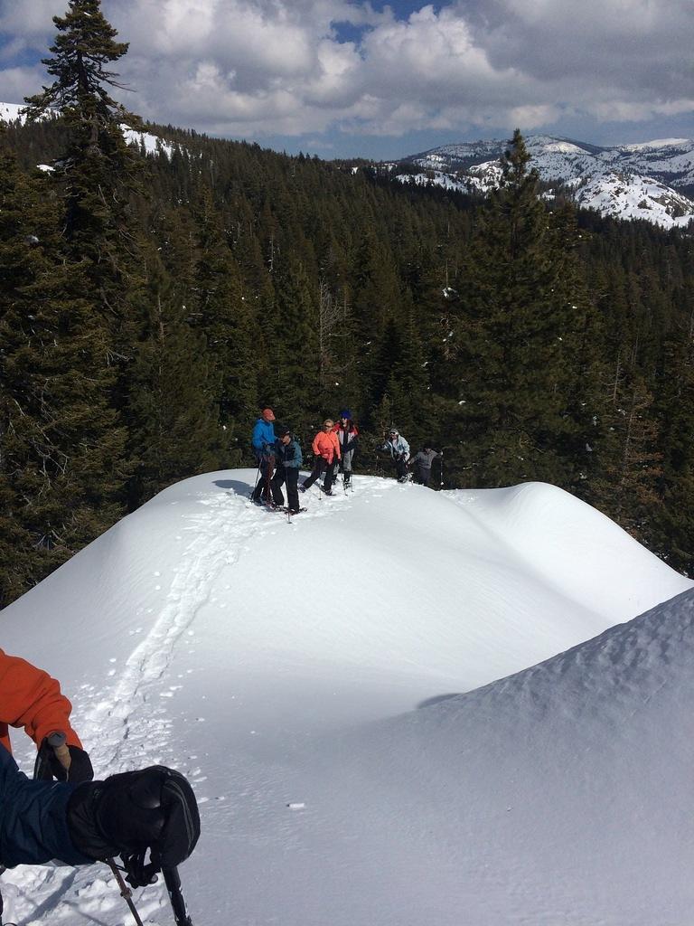 IMG 1036