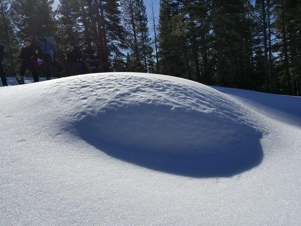 20180203 105636