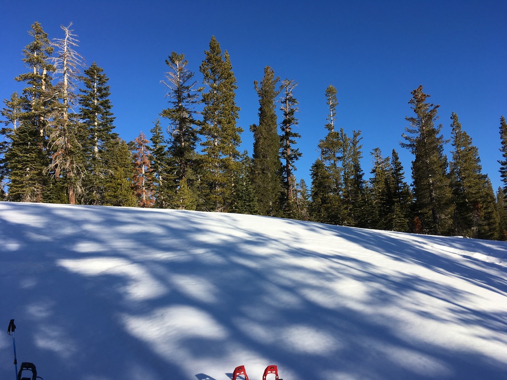 3CD6F2A9-2A11-4C0A-83F6-1FAF373F6EDC 1 105 c