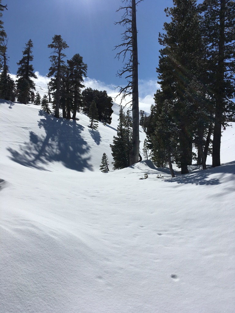 45D788C4-C7FA-44D2-ADB4-215B352E4AA3 1 105 c