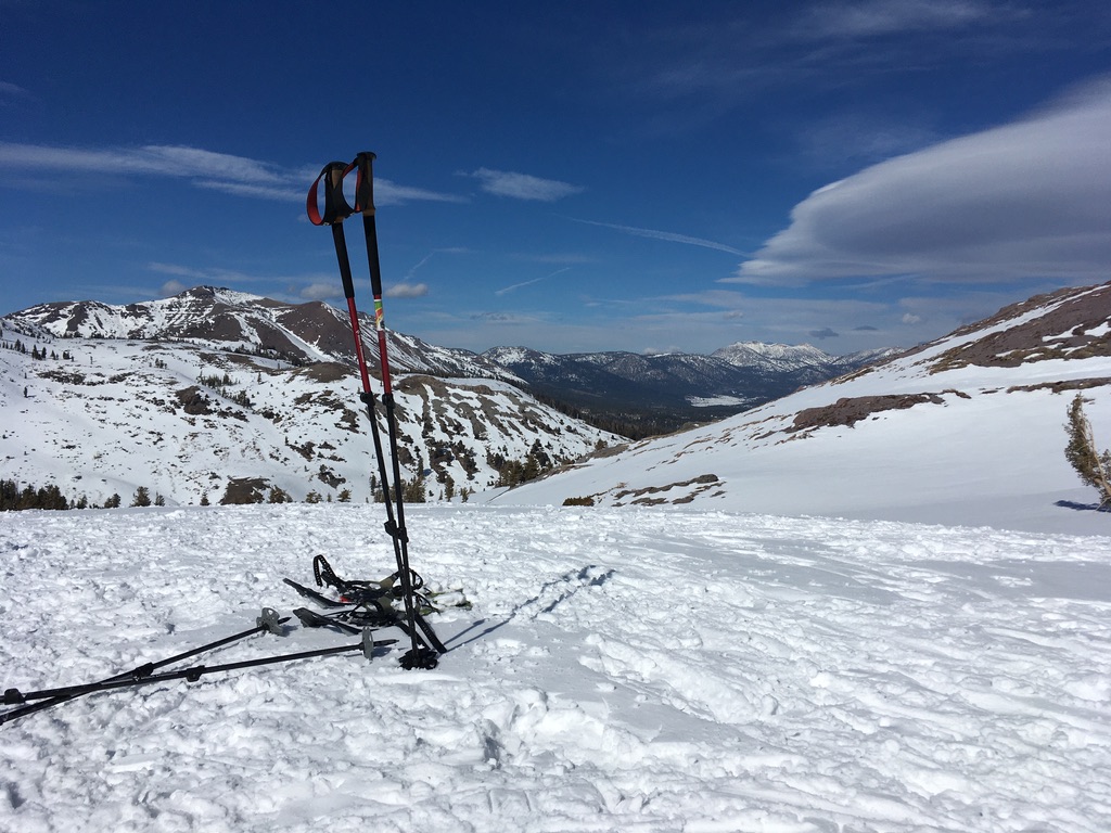 619A8785-4D06-4BB0-9769-E5CFC4131E31 1 105 c