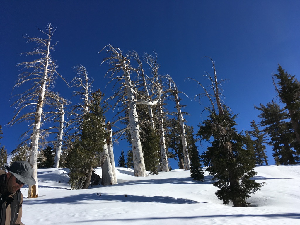 6FABF057-32A1-496D-BEBD-C299F3739913 1 105 c