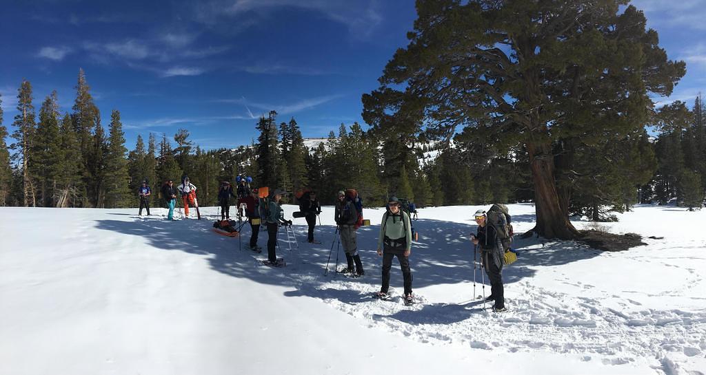 2022 Group 5 at the Big Tree