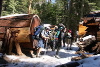 Alumni - Mariposa Grove, Feb 10-12 2006