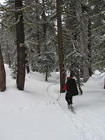 IMG_0155