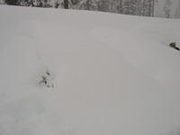 My Car Before Digging Out.JPG