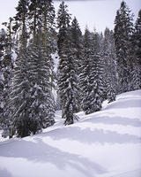 Lassen Volcanic Nat'l Park 008.jpg