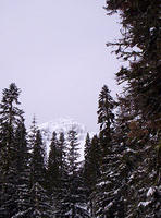 Lassen Volcanic Nat'l Park 009.jpg