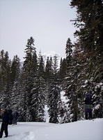 Lassen Volcanic Nat'l Park 010.jpg