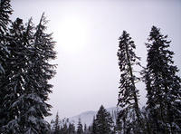 Lassen Volcanic Nat'l Park 011.jpg