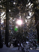 Lassen Volcanic Nat'l Park 015.jpg