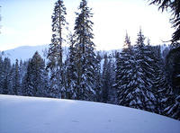 Lassen Volcanic Nat'l Park 017.jpg
