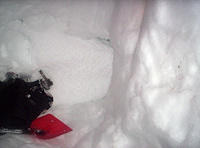 Lassen Volcanic Nat'l Park 023.jpg