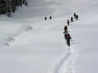 IMG_5389.JPG