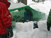 IMG_5403.JPG