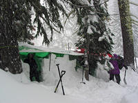 IMG_5415.JPG