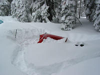 IMG_5446.JPG