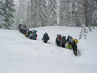 IMG_5460.JPG