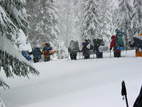 IMG_5463.JPG