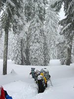 IMG_5464.JPG