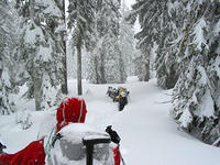 IMG_5465.JPG