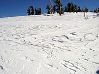 Windblown_Snow.JPG