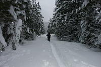 Robb_Hut_06_07_