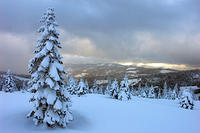 Robb_Hut_06_14R__001